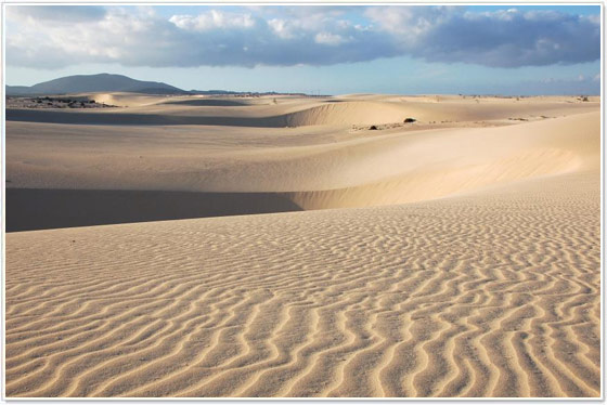Dune di Corralejo Dune di Corralejo