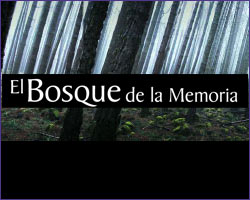 el bosque de la memoria el bosque de la memoria