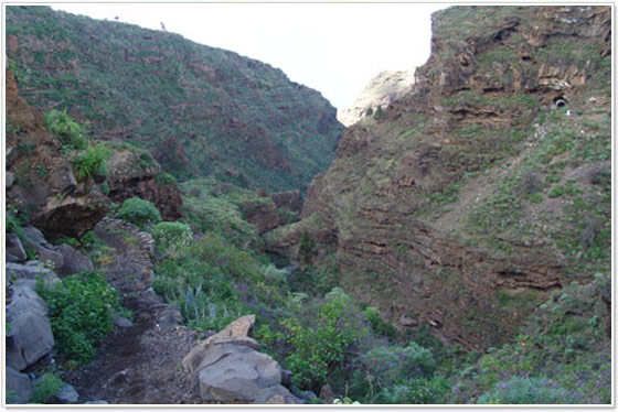 Barranco de El Jurado, Tijarafe, La Palma Barranco de El Jurado, Tijarafe, La Palma