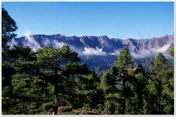 Los-Roques-en-El-Paso-La-Palma