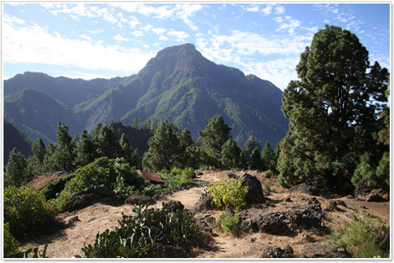Los Tilos La Palma Los Tilos La Palma