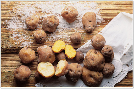 Papas Arrugadas Tenerife Papas Arrugadas Tenerife