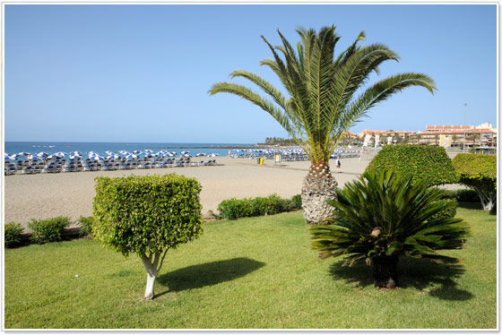 playa-las-vistas-los-cristianos