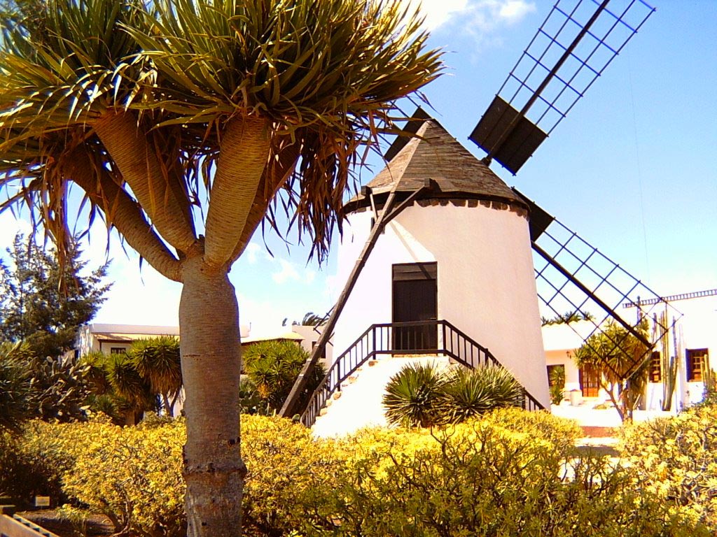 Mulino di Antigua