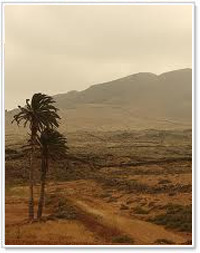 Parco Naturale di Malpais de la Arena - Fuerteventura