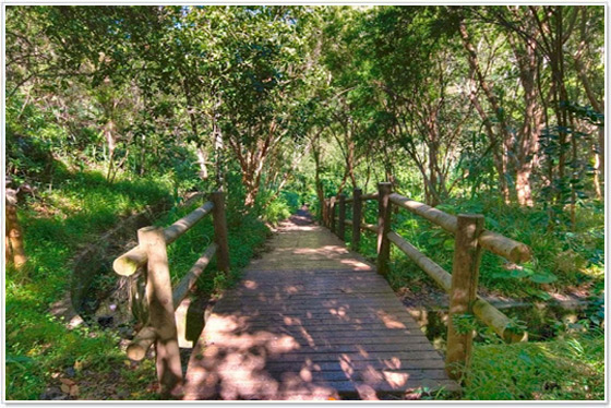 Parque Rural de Doramas Parque Rural de Doramas