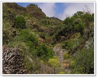 Barranco di Guayadeque, Aguimes Gran Canaria