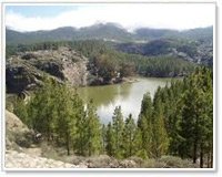 Parco Rurale del Nublo, Gran Canaria