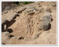 Zona Archeologica Lomo Los Gatos