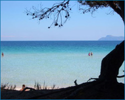 Campeggi e Bungalow Gran Canaria