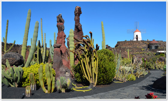 Jardin de Cactus, Guatiza, Teguise, Lanzarote Jardin de Cactus, Guatiza, Teguise, Lanzarote