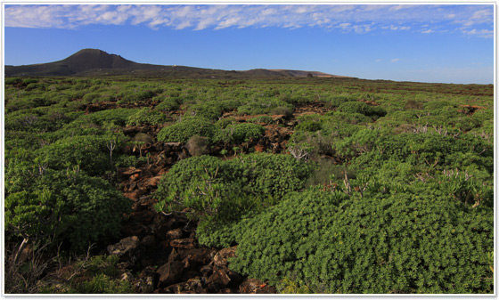 Cueva de Los Verdes, Lanzarote Cueva de Los Verdes, Lanzarote