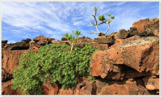 Cueva de Los Verdes, Lanzarote Cueva de Los Verdes, Lanzarote