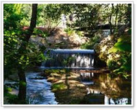 Foto Jardin Botanico di Tenerife