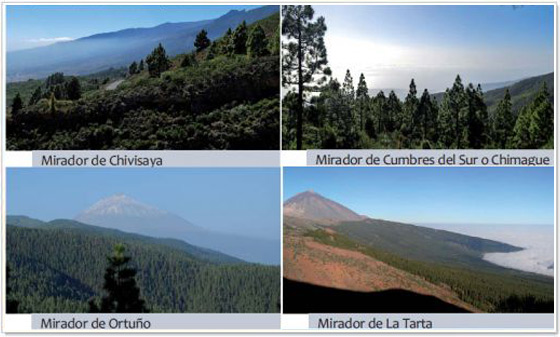 Miradores di Tenerife Miradores di Tenerife