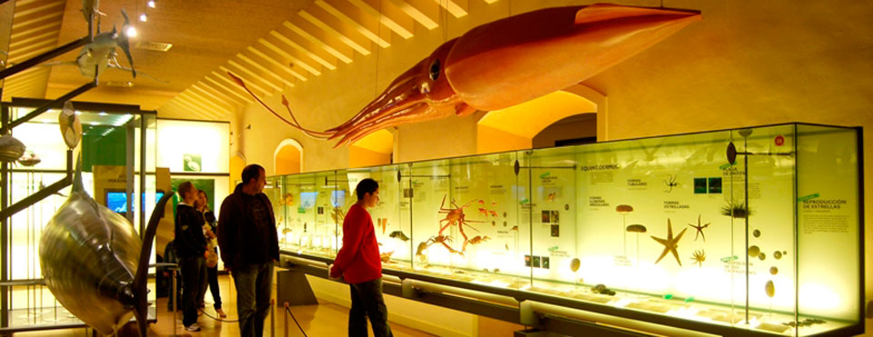 museo naturaleza y el hombre santa cruz de tenerife