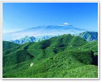 Parco rurale di Teno, Tenerife