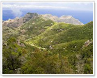 Riserva naturale di Ijuana Riserva naturale di Ijuana, Tenerife