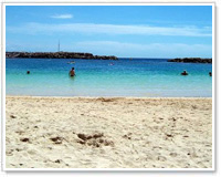 Spiagge Tenerife Sud