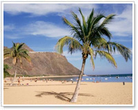 Spiagge Tenerife