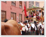 Fiesta y Romeria de San Roque Tenerife