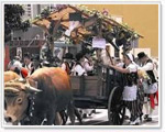 Romeria de San Benito Abad Tenerife