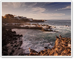 Costa della spiaggia di Tenerife