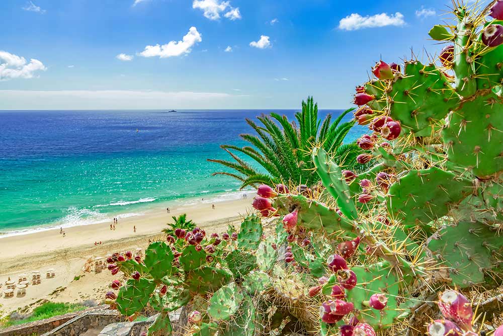 Spiaggia di Esquinzo - Fuerteventura