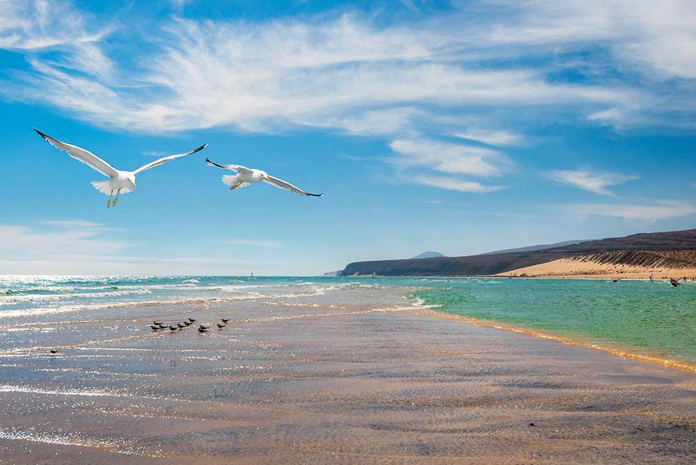 Spiagge di Costa Calma, Fuerteventura