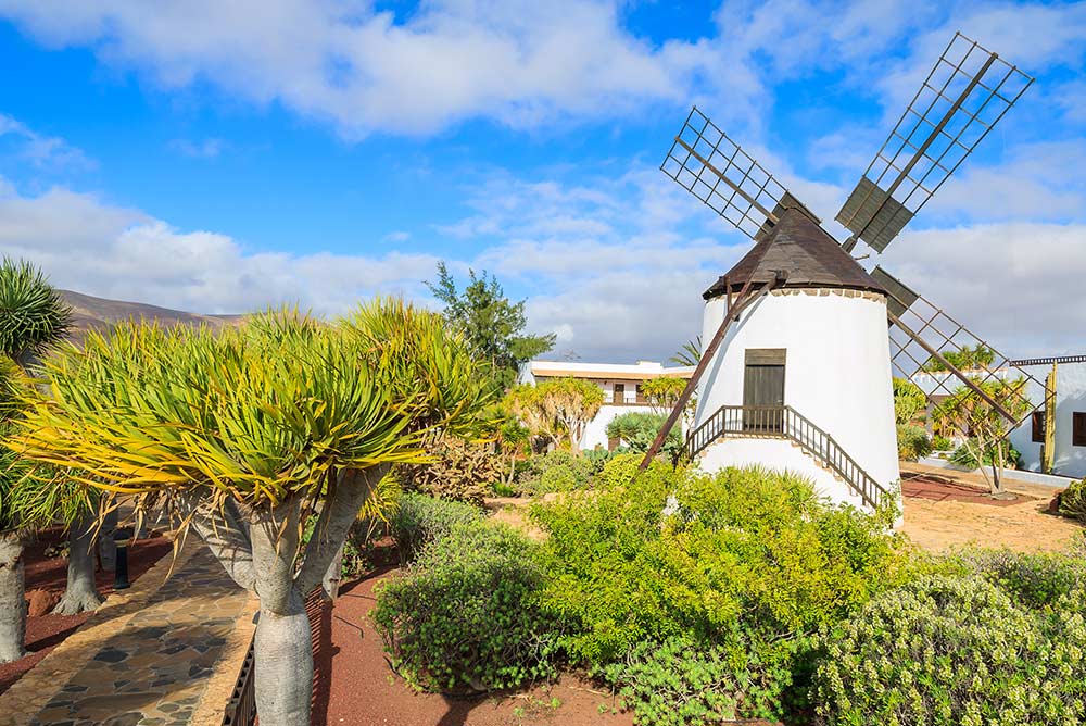 Mulino-di-Antigua-Fuerteventura