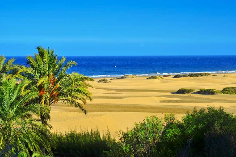 Riserva Naturale delle Dune di Maspalomas a Gran Canaria