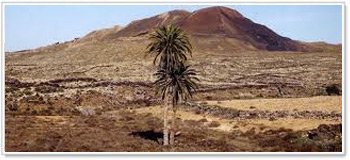Parco Naturale di Malpais de la Arena Itinerari Fuerteventura