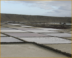 A Lanzarote c&rsquo;&egrave; sapore di sale